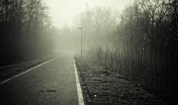 Strada vuota in bianco e nero — Foto Stock