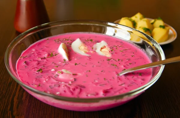 stock image Lithuanian Traditional Soup