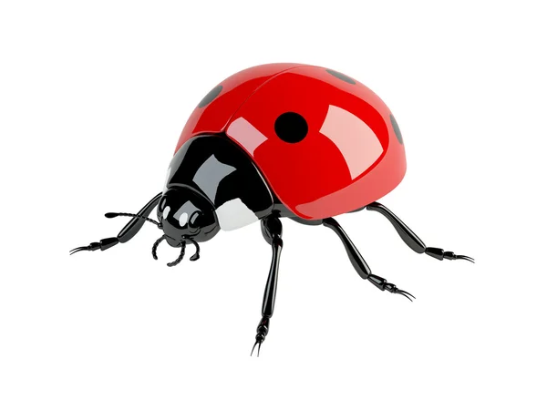 stock image 3d ladybird