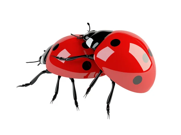 3D çiftleşme ladybirds — Stok fotoğraf
