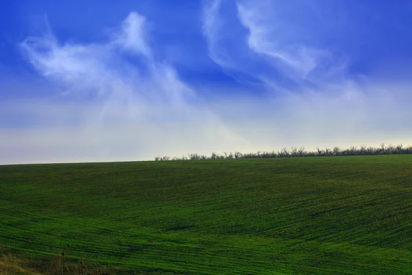 El campo verde y las nubes blancas — Foto de Stock