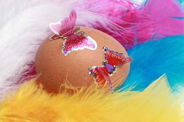 Brown egg in feathers and butterflies — Stock Photo, Image