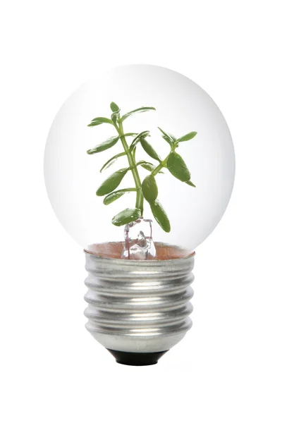 Green energy concept — Stock Photo, Image