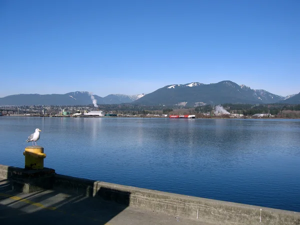Montagnes de Vancouver Nord Photos De Stock Libres De Droits