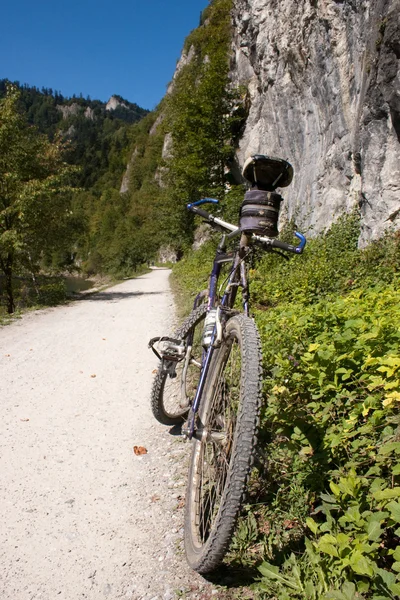 Pieniny montanhas Montanha Bicicleta — Fotografia de Stock