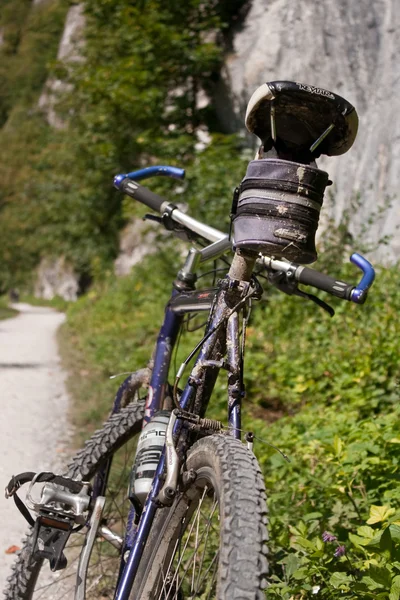 Pieniny montañas bicicleta de montaña — Foto de Stock