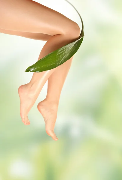 Nohy a zelený list — Stock fotografie