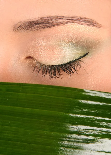Глаз и зеленый лист — стоковое фото