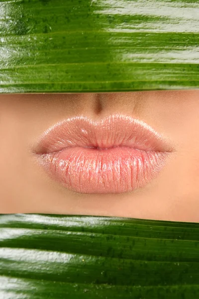 Lippen en blad — Stockfoto