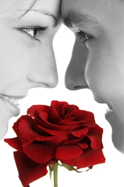 Rode rose en gezichten — Stockfoto