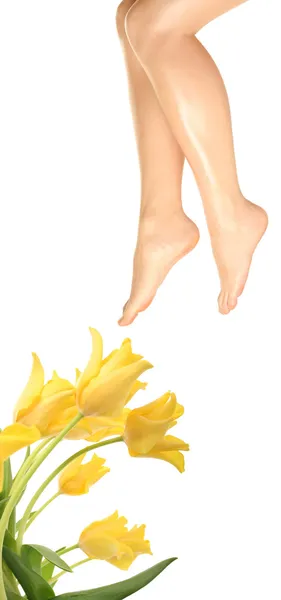 Nohy a květina — Stock fotografie