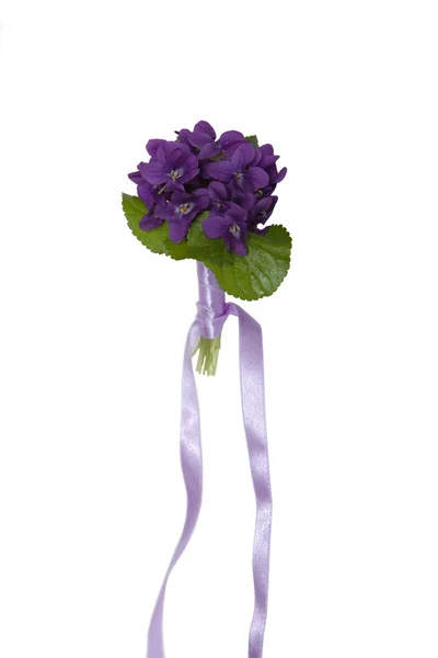 紫花束 — 图库照片