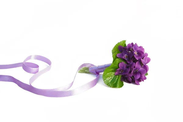 Violet bouquet with silk bow — Stock Photo, Image