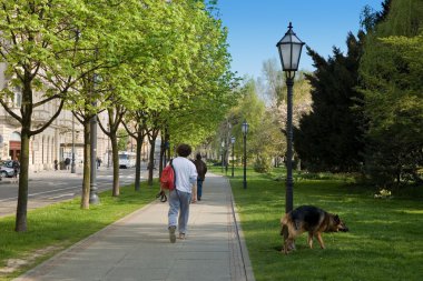 Man walking a dog clipart