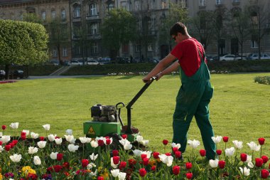 Elektrik makinesi işçisi