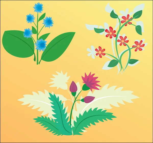 花の色のデザイン要素 — ストックベクタ