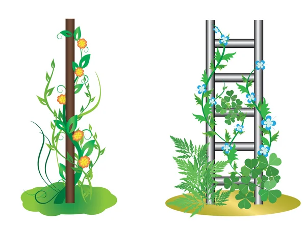 Vector illustration - vertical plants with flowers — Stock Vector