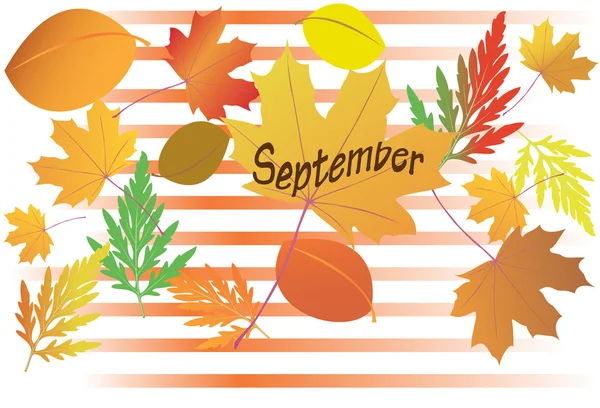 Vectorillustratie met herfstbladeren - september maand — Stockvector