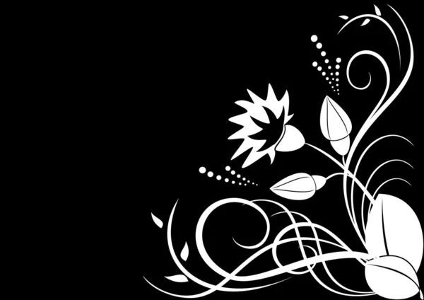 Flore blanche sur fond noir - vecteur — Image vectorielle