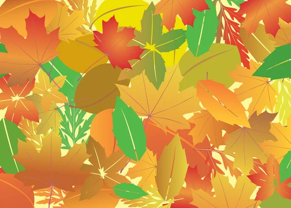 秋の紅葉のベクトルの背景 — ストックベクタ