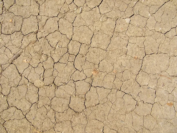 Image of dried land — Stock Photo, Image