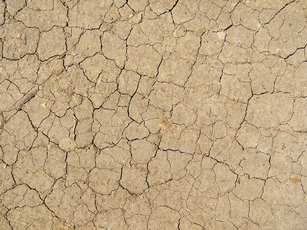 Image of dried land