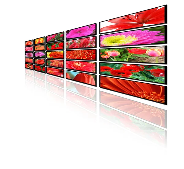 Color screens with flower — Stock Photo, Image
