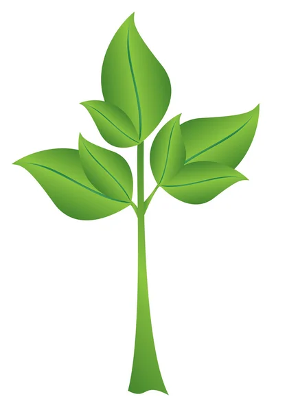 Векторная иллюстрация - маленькое зеленое растение — стоковый вектор
