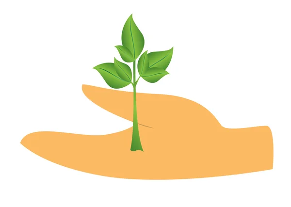 Vector hand en groene plant — Stockvector