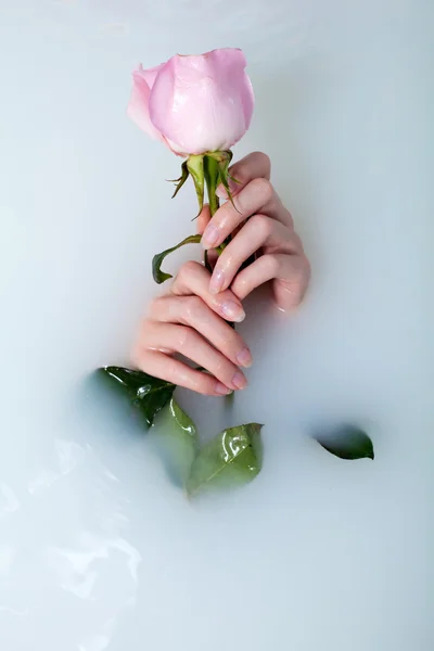 Ręce kobiety i róża — Zdjęcie stockowe