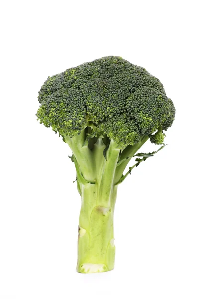 Čerstvá brokolice — Stock fotografie