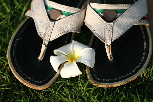Sandálias e flores — Fotografia de Stock
