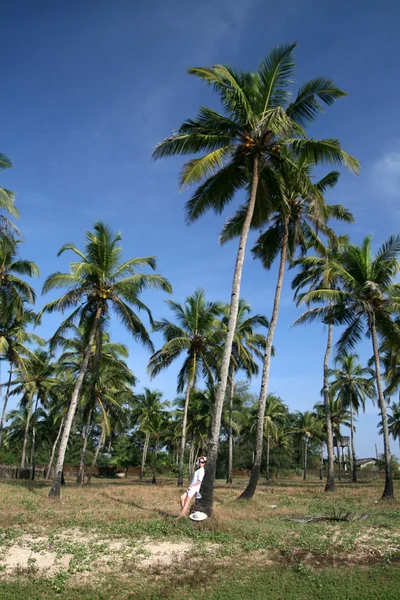 Žena a kokosové stromy — Stock fotografie