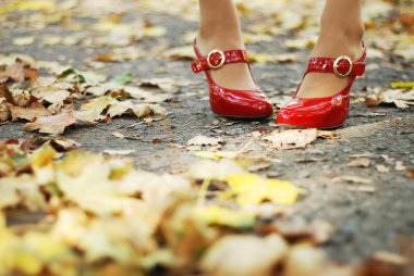 Foliage and red shoes clipart