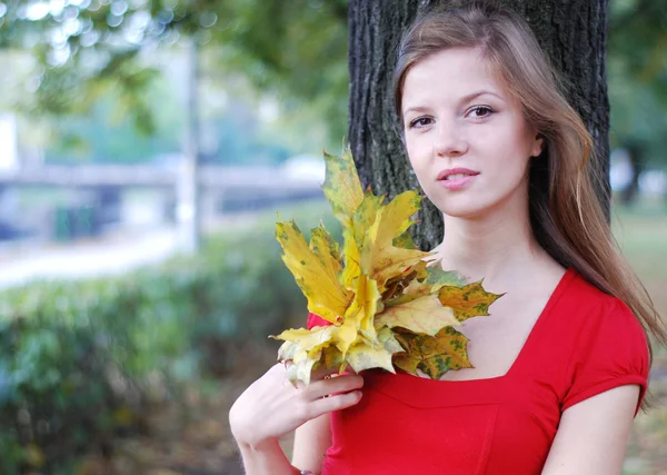 Женщина с желтыми листьями — стоковое фото
