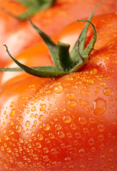 Foto de cerca de dos tomates — Foto de Stock