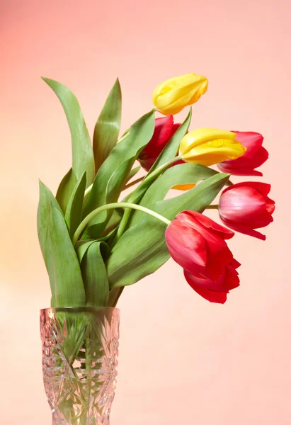 Tulipanes rojos y amarillos en el jarrón — Foto de Stock