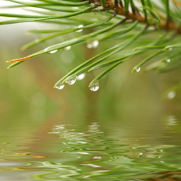 Water drops reflected in the water — Stock Photo, Image