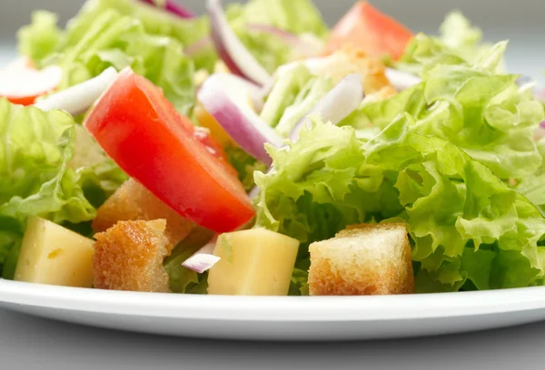 Close-up of salad on white plate — Stock Photo, Image