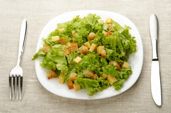 ホワイトプレート上のサラダのクローズアップ — ストック写真