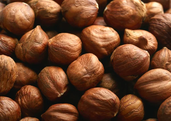 stock image Hazelnuts background