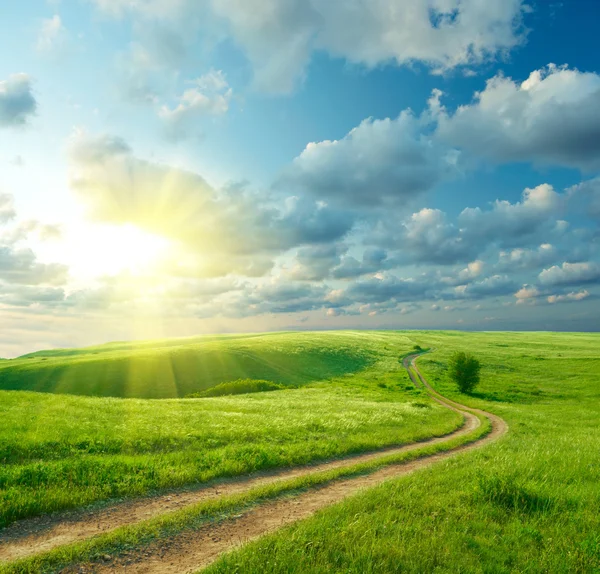 Летний пейзаж с зеленой травой, дорогой и облаками — стоковое фото