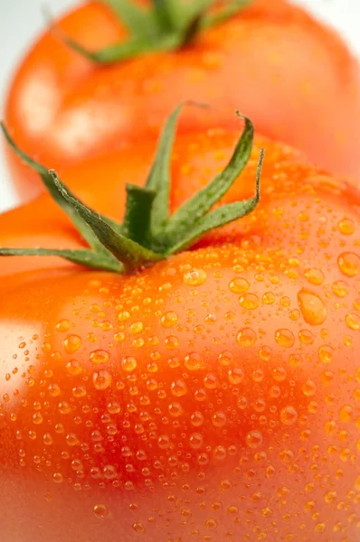 Foto de cerca de dos tomates con gotas de agua — Foto de Stock