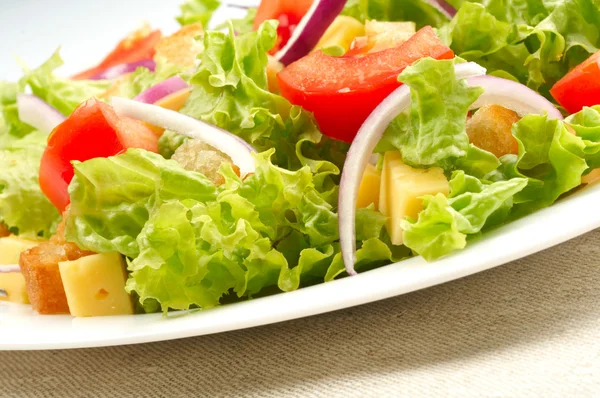 Gros plan de la salade sur assiette blanche — Photo