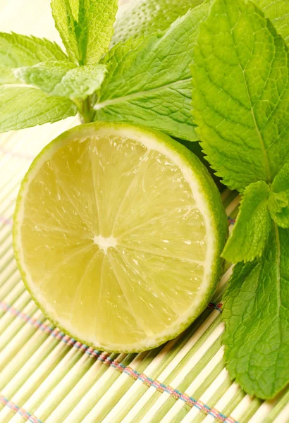 Limes en munt geïsoleerd op witte achtergrond — Stockfoto