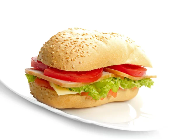 stock image Big sandwich on white plate