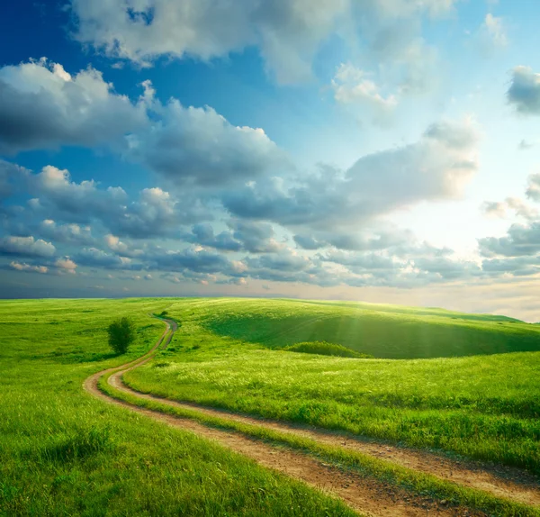 Letni krajobraz z zieloną trawą, drogą i chmurami — Zdjęcie stockowe