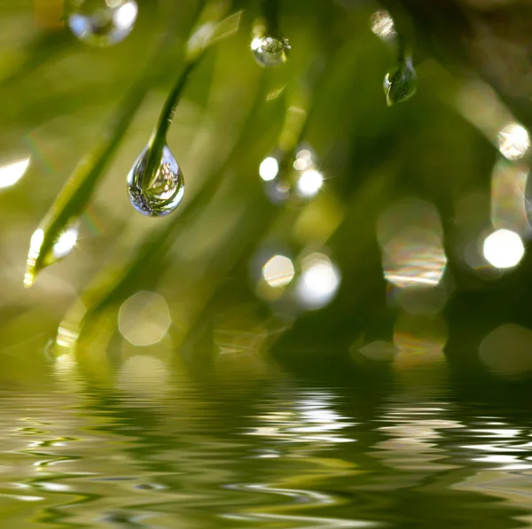 Water drops reflected in the water — Stock Photo, Image
