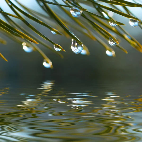 Waterdruppels weerspiegeld in het water — Stockfoto