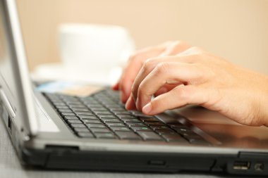 Woman's hands and laptop clipart